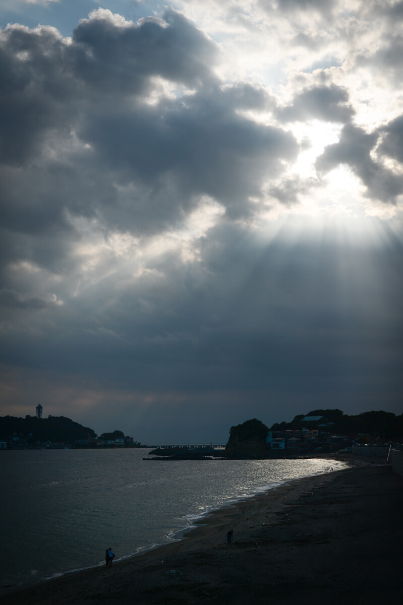 f:id:hachi-log:20200831083559j:plain