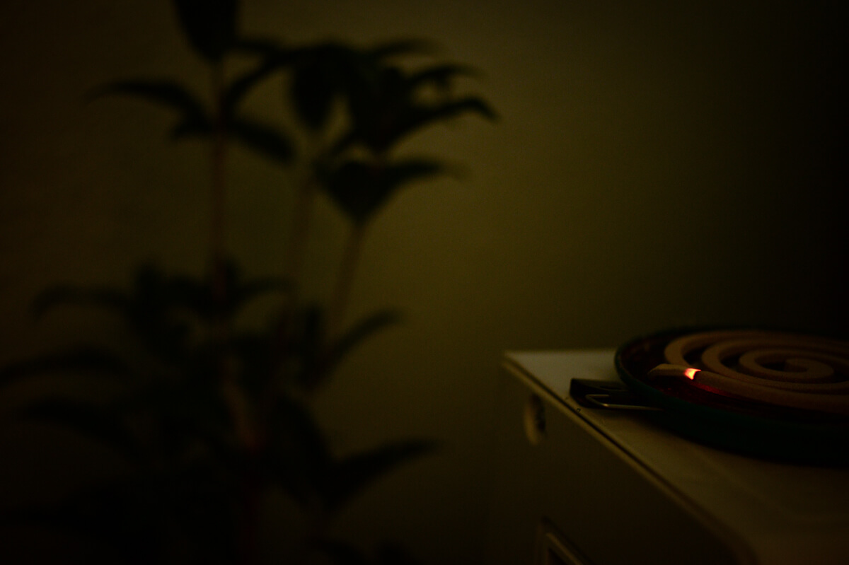 f:id:hachi-log:20200907230336j:plain f:id:hachi-log:20200907230336j:plain