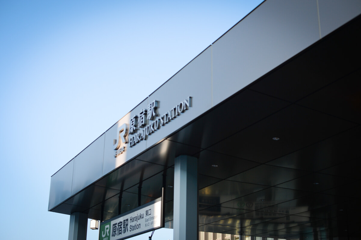 f:id:hachi-log:20200920082526j:plain