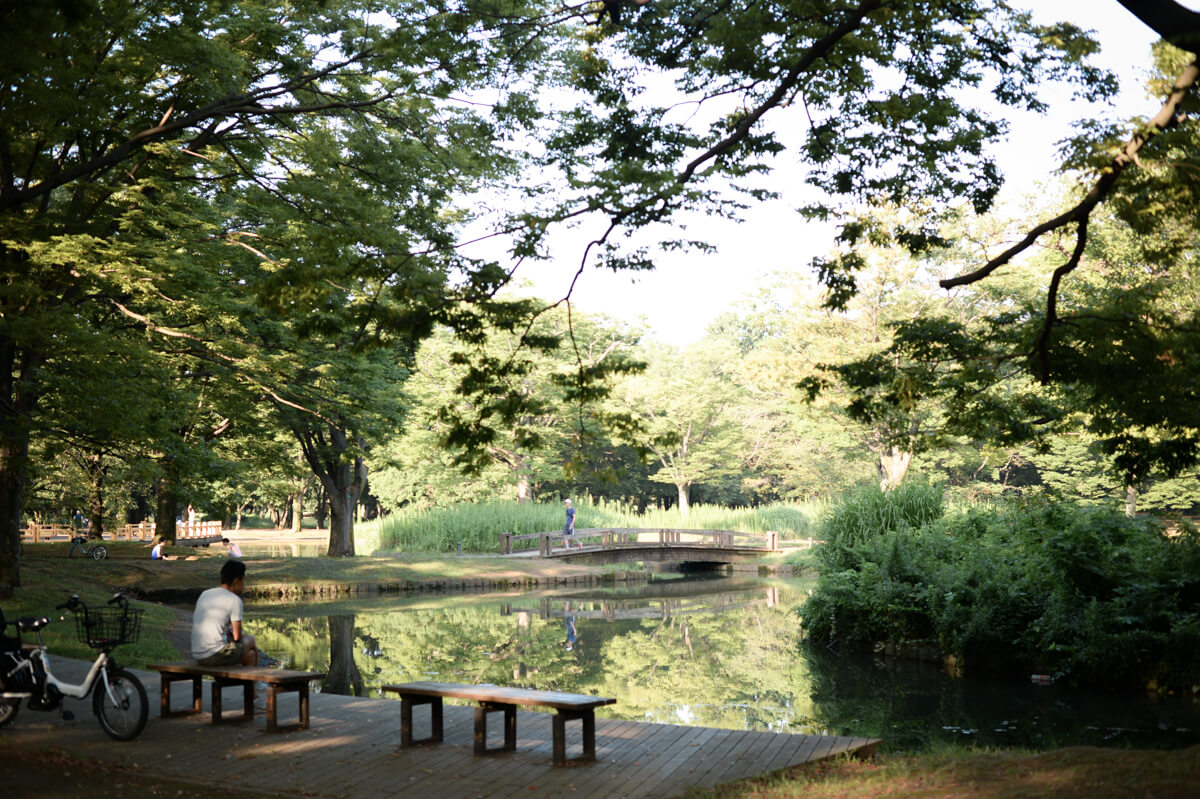 f:id:hachi-log:20200920082546j:plain