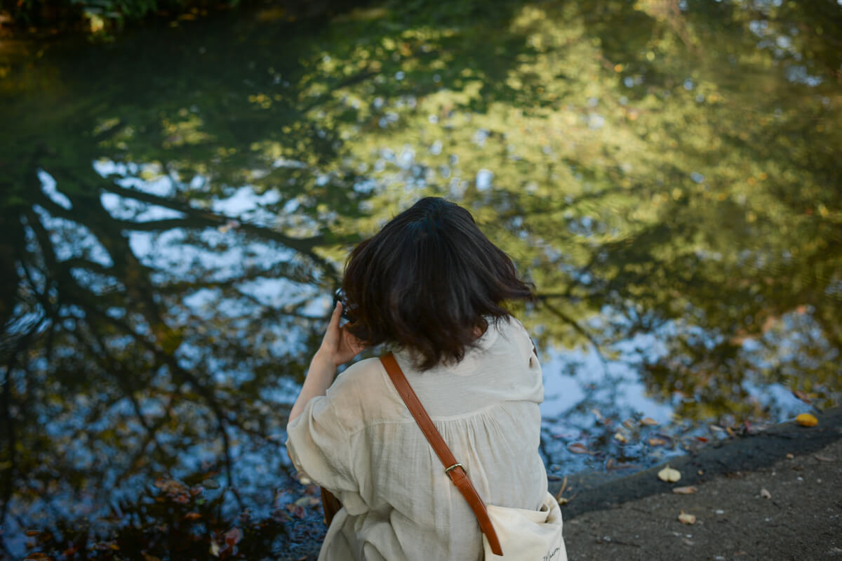 f:id:hachi-log:20200920082551j:plain