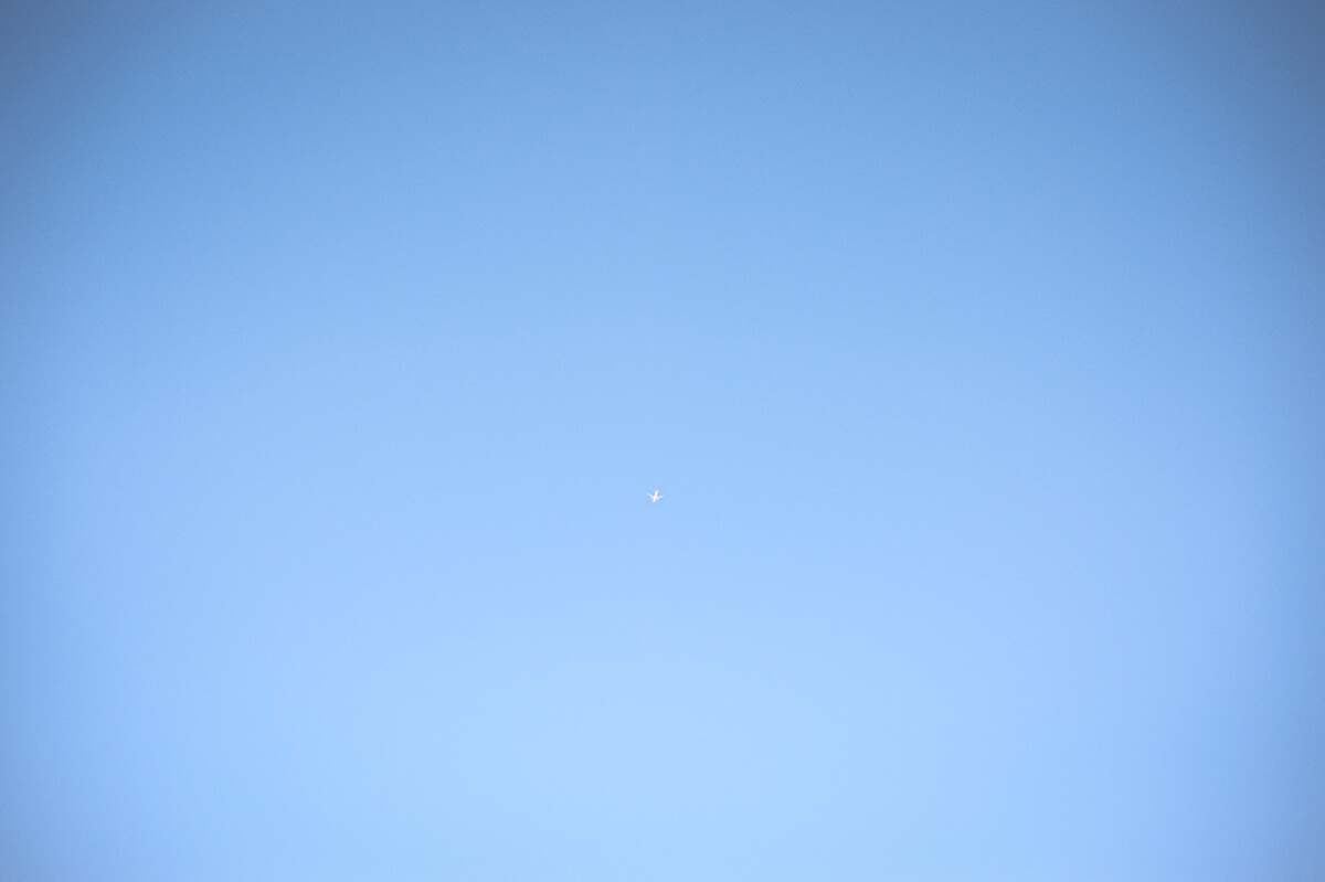 f:id:hachi-log:20200920082622j:plain