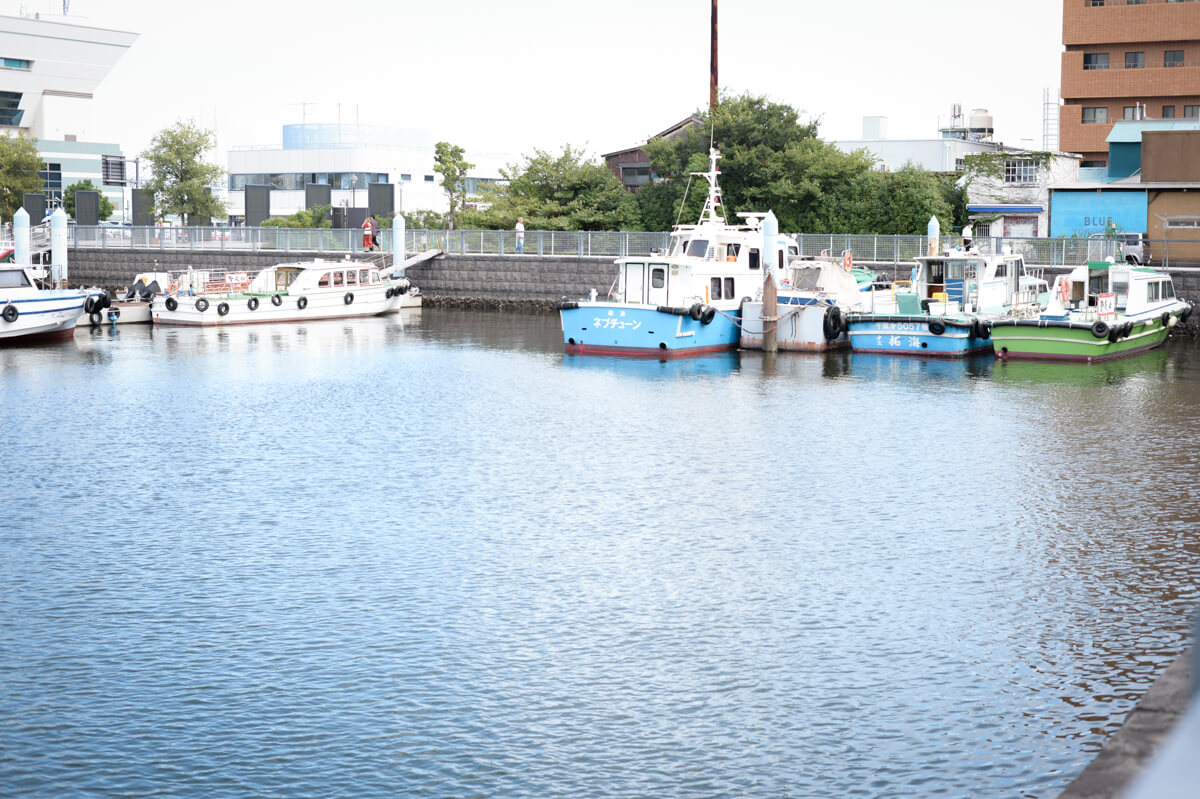 f:id:hachi-log:20201009104442j:plain f:id:hachi-log:20201009104442j:plain