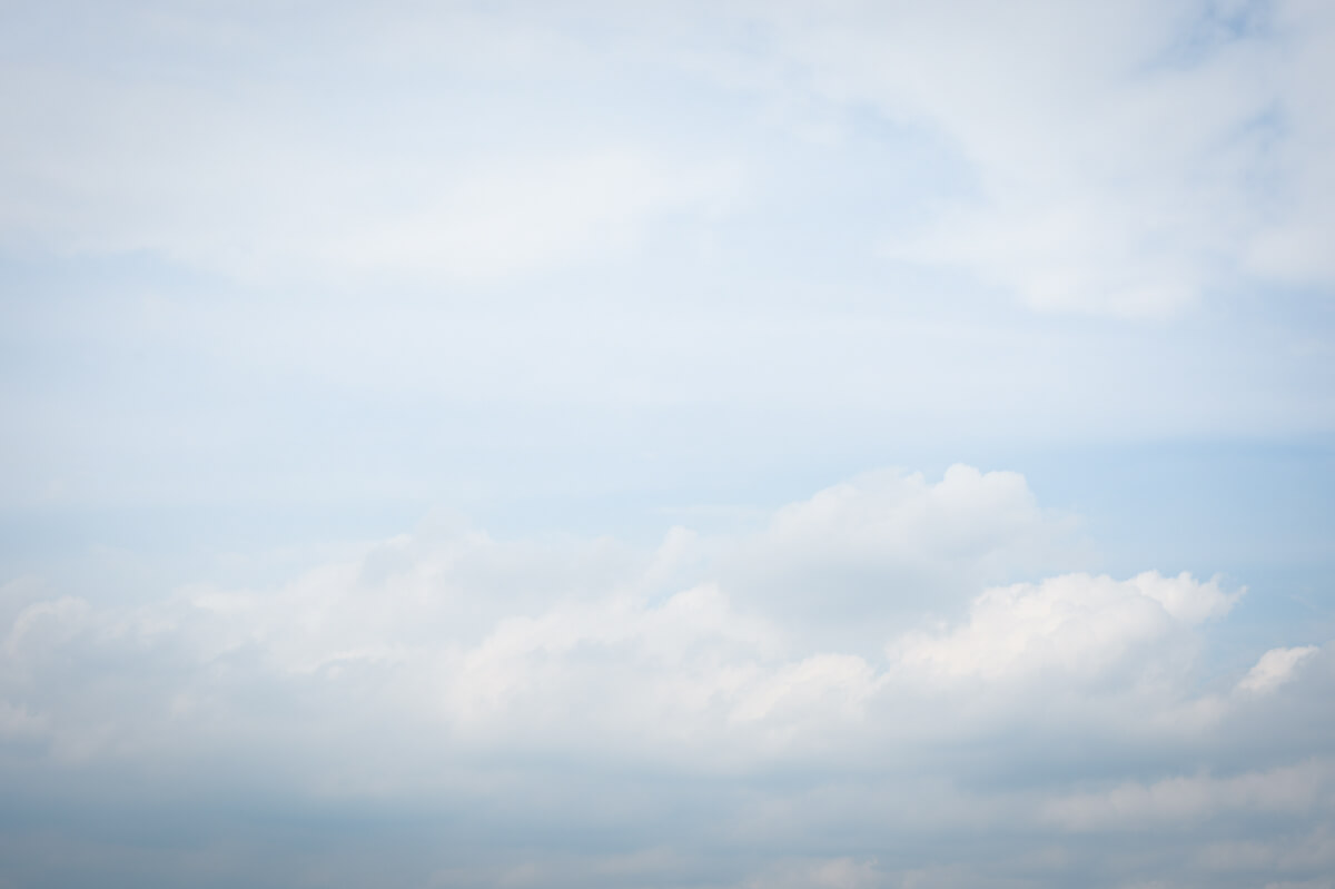 f:id:hachi-log:20201009104532j:plain f:id:hachi-log:20201009104532j:plain