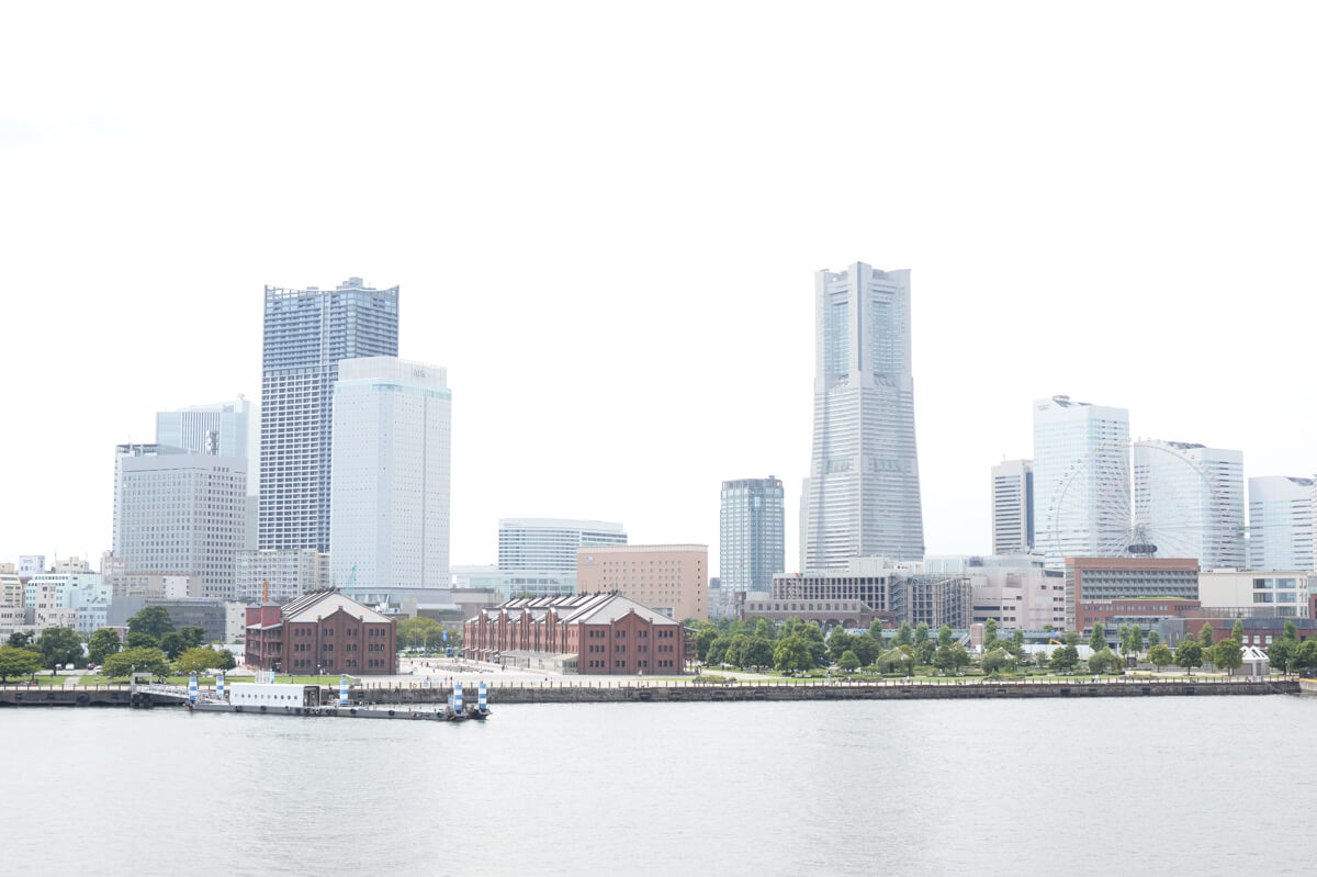 f:id:hachi-log:20201009104548j:plain f:id:hachi-log:20201009104548j:plain