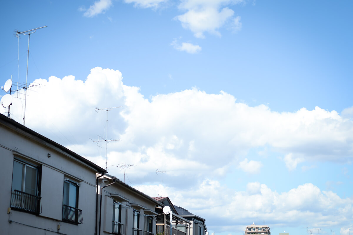 f:id:hachi-log:20201009134342j:plain f:id:hachi-log:20201009134342j:plain