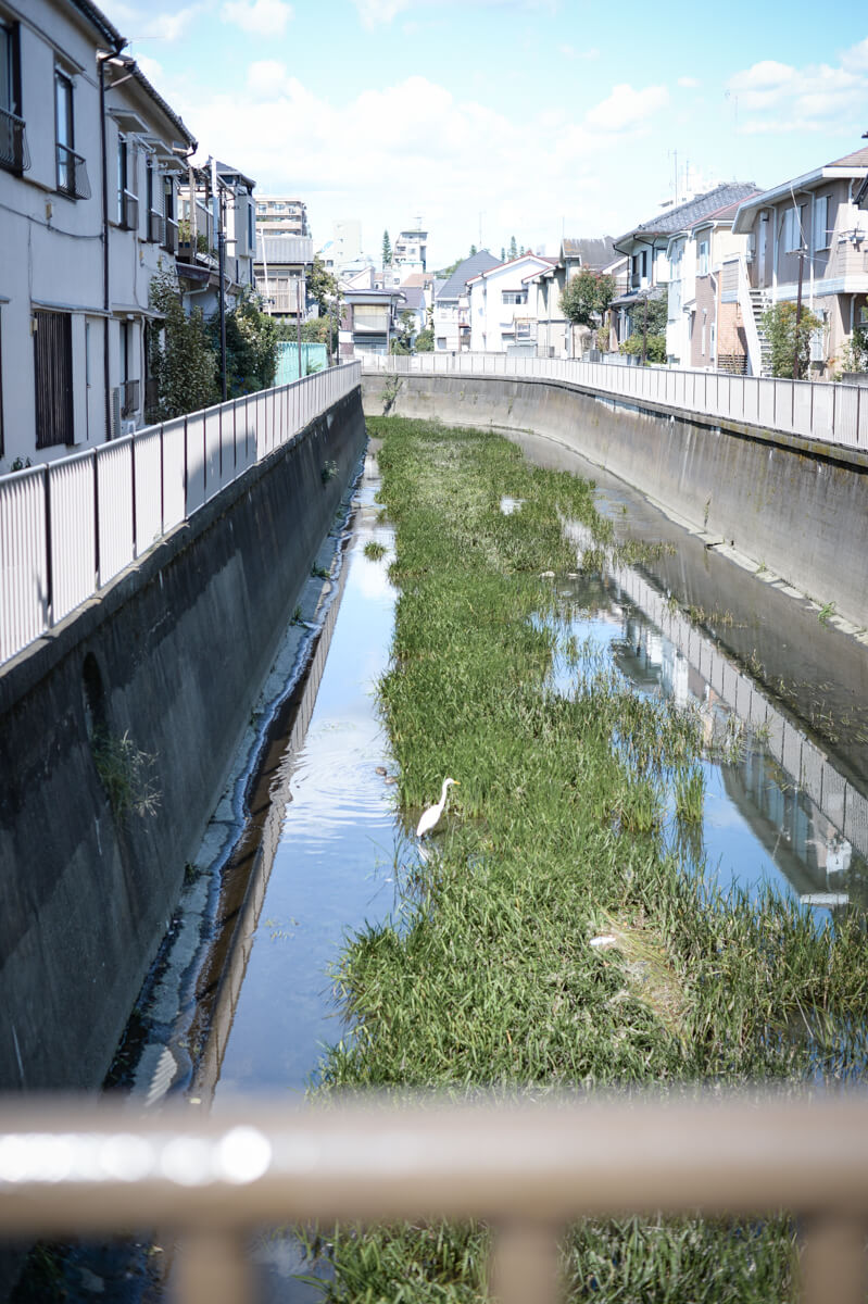 f:id:hachi-log:20201009134345j:plain f:id:hachi-log:20201009134345j:plain