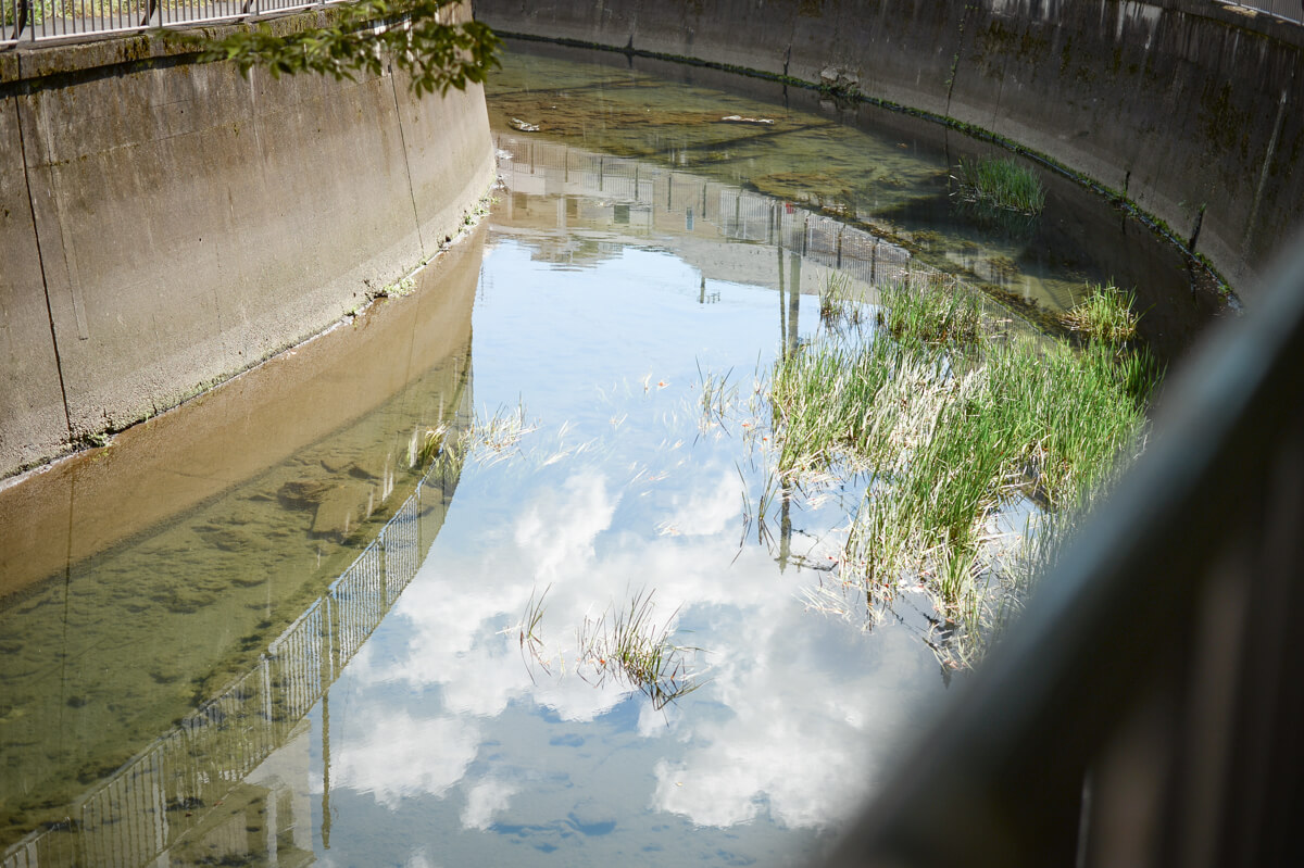 f:id:hachi-log:20201009134349j:plain f:id:hachi-log:20201009134349j:plain