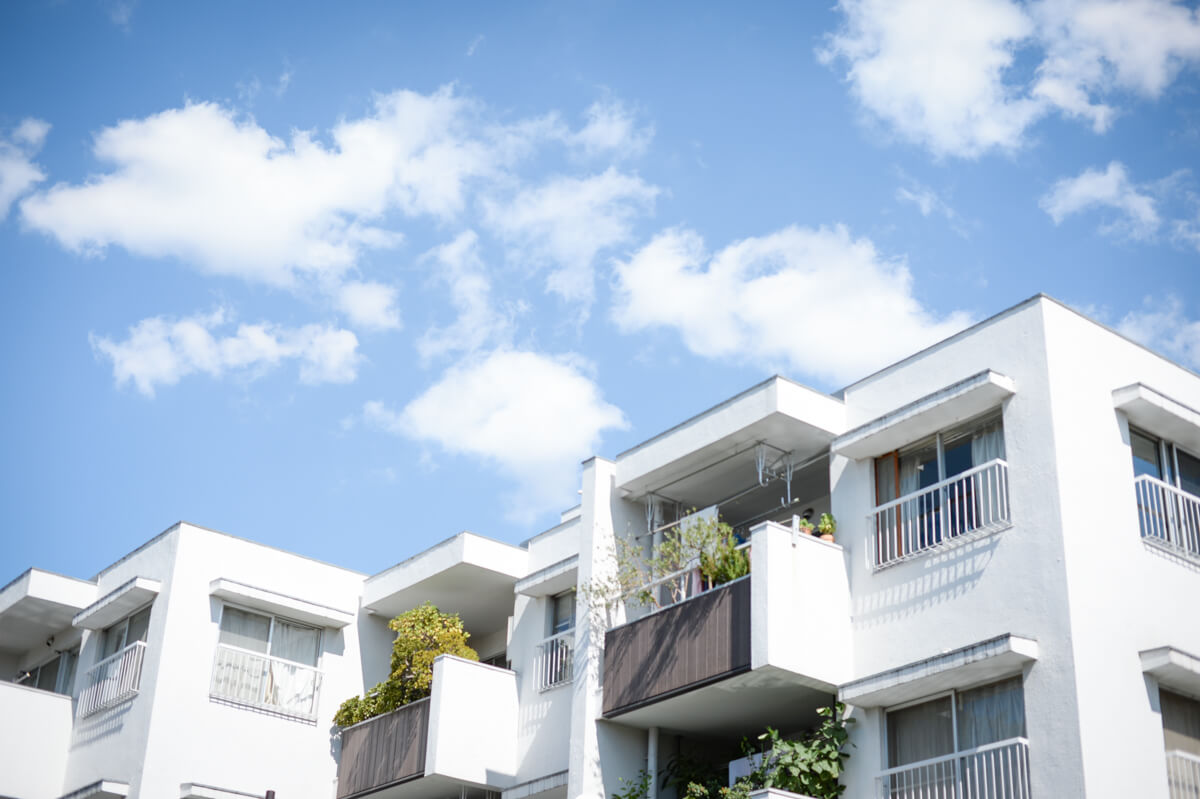 f:id:hachi-log:20201009134353j:plain f:id:hachi-log:20201009134353j:plain