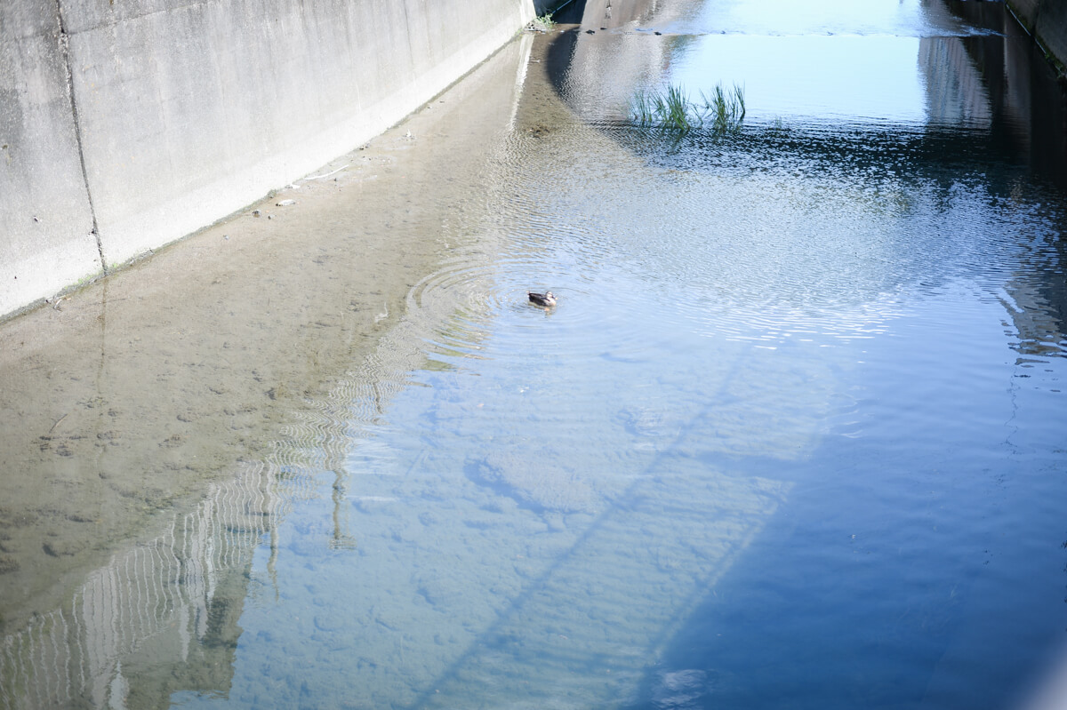 f:id:hachi-log:20201009134356j:plain f:id:hachi-log:20201009134356j:plain