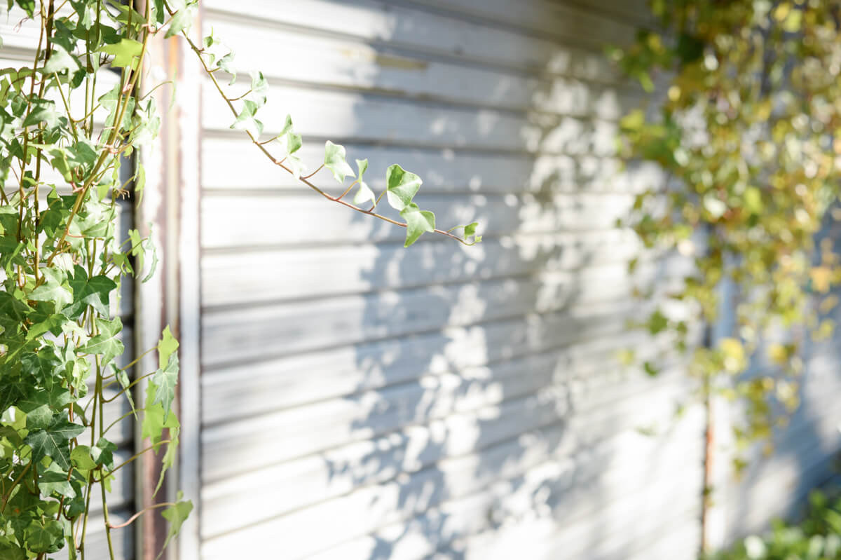 f:id:hachi-log:20201009134415j:plain f:id:hachi-log:20201009134415j:plain