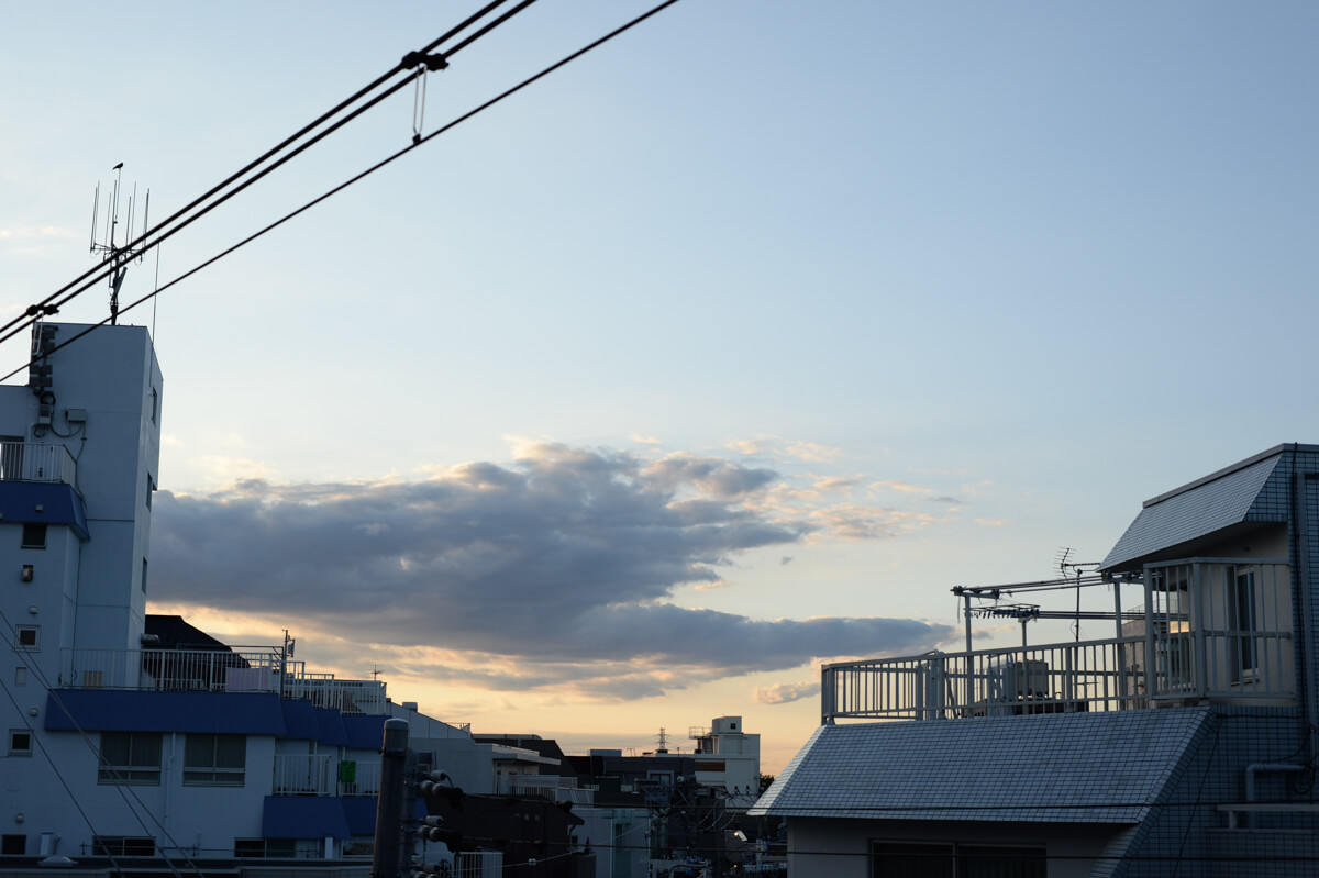 f:id:hachi-log:20201009134433j:plain f:id:hachi-log:20201009134433j:plain