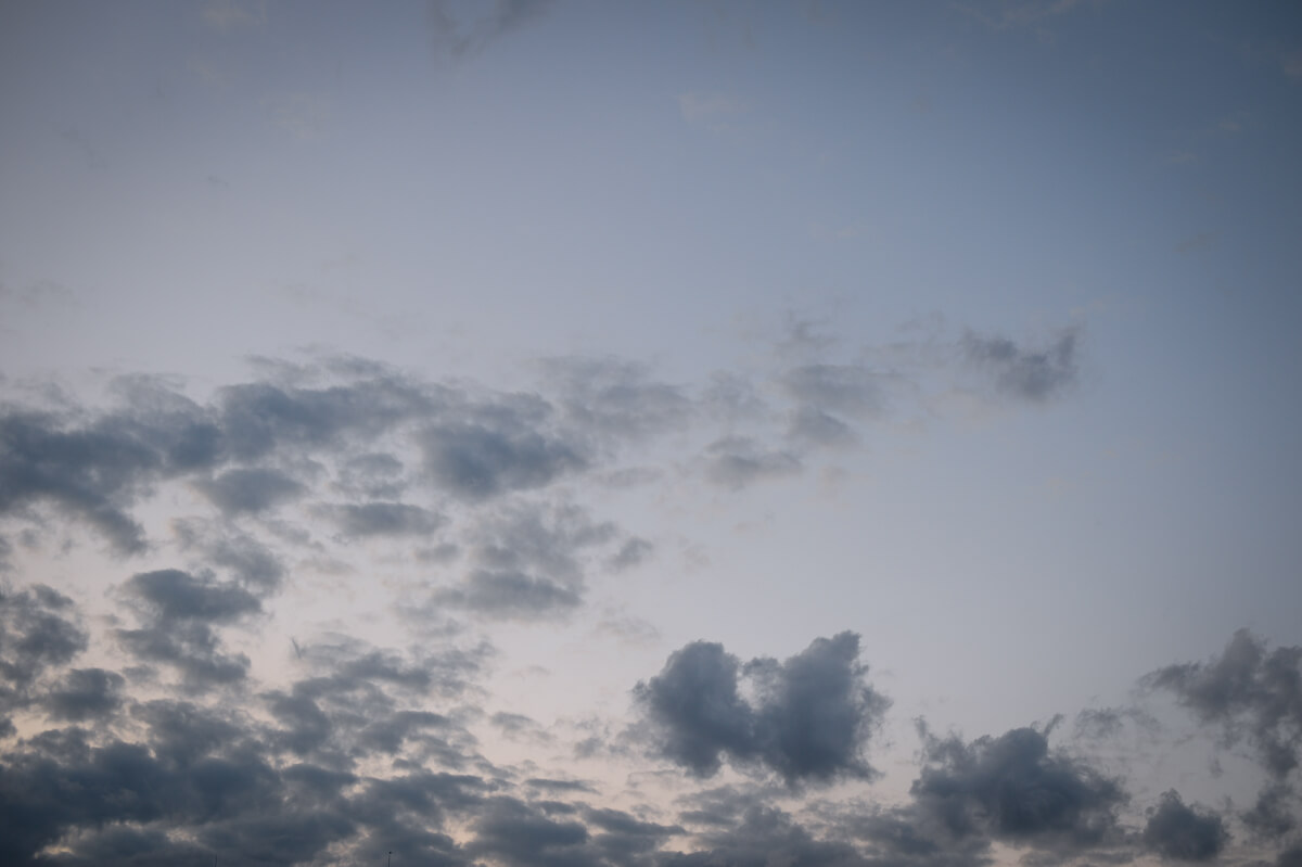 f:id:hachi-log:20201009134453j:plain f:id:hachi-log:20201009134453j:plain