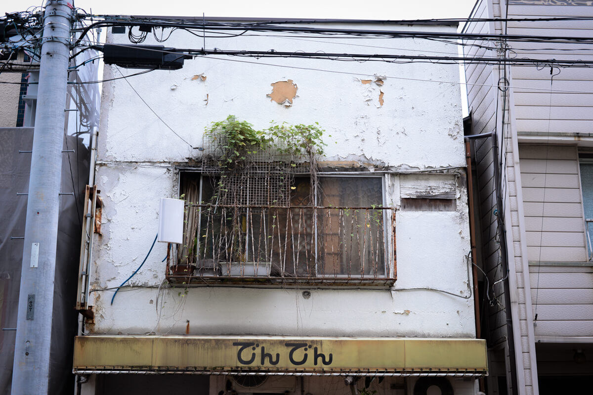 f:id:hachi-log:20201015180953j:plain f:id:hachi-log:20201015180953j:plain