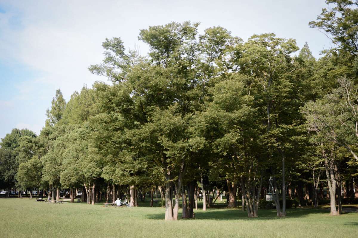 f:id:hachi-log:20201015181139j:plain f:id:hachi-log:20201015181139j:plain