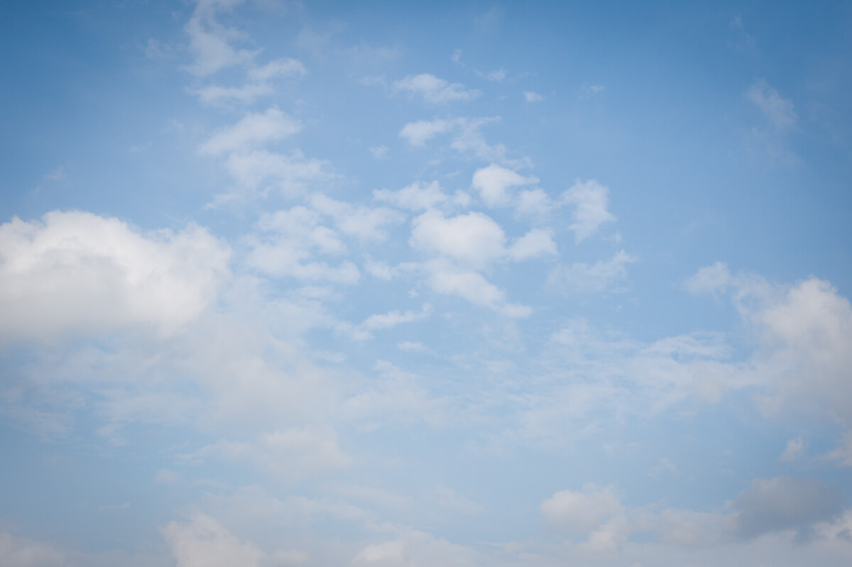 f:id:hachi-log:20201015181323j:plain f:id:hachi-log:20201015181323j:plain
