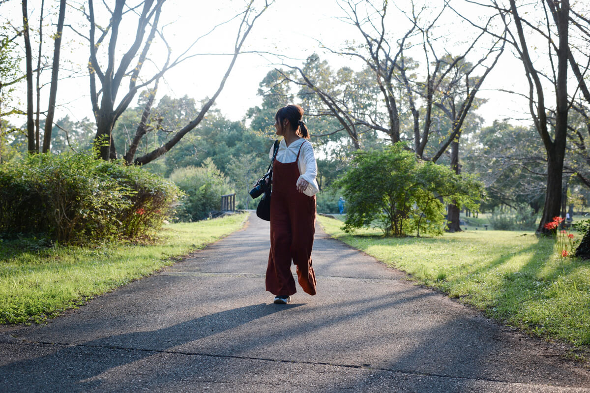 f:id:hachi-log:20201015181537j:plain f:id:hachi-log:20201015181537j:plain