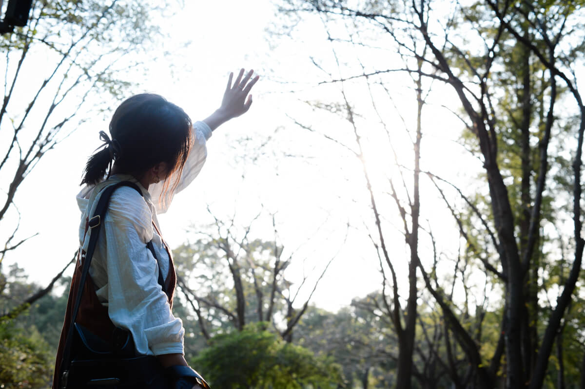 f:id:hachi-log:20201015181545j:plain f:id:hachi-log:20201015181545j:plain