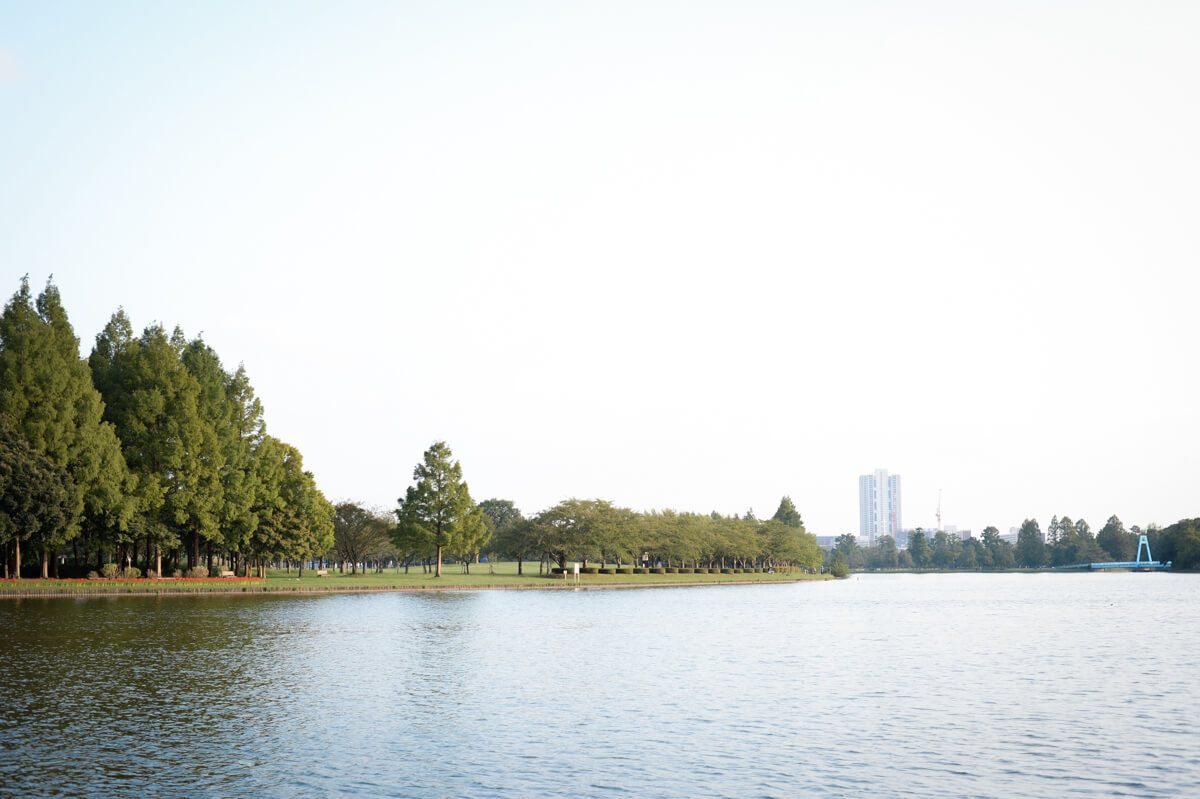 f:id:hachi-log:20201015181627j:plain f:id:hachi-log:20201015181627j:plain
