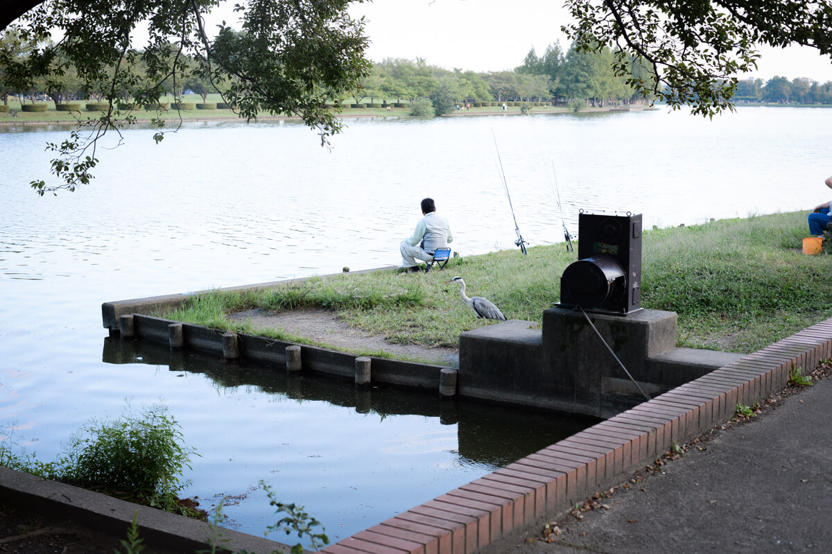 f:id:hachi-log:20201015181654j:plain f:id:hachi-log:20201015181654j:plain