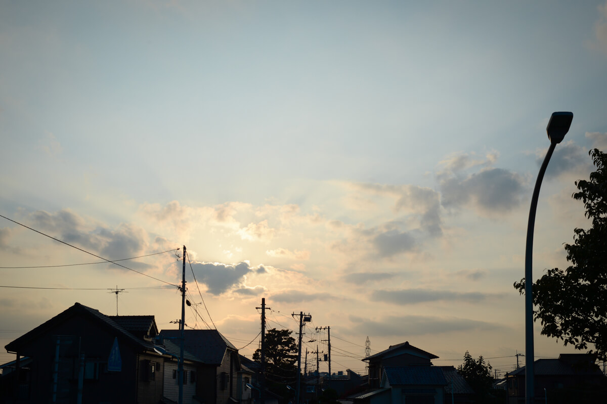 f:id:hachi-log:20201015181709j:plain f:id:hachi-log:20201015181709j:plain