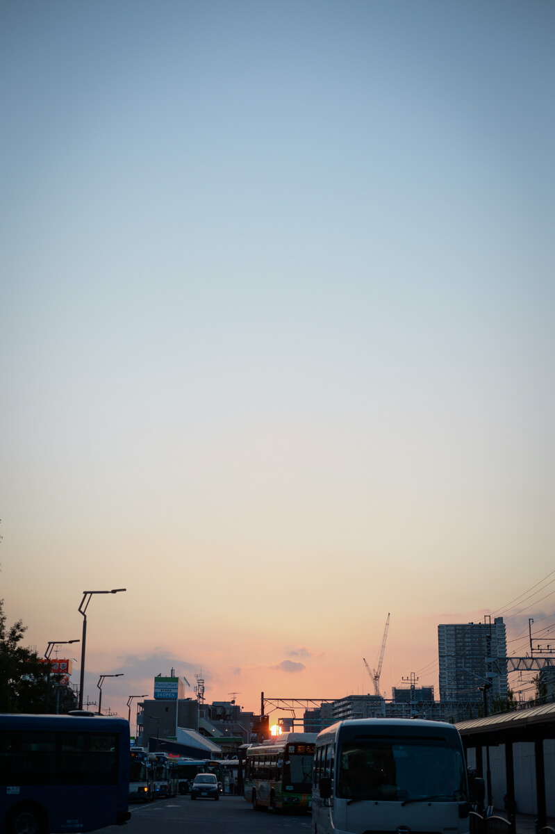 f:id:hachi-log:20201015181738j:plain f:id:hachi-log:20201015181738j:plain