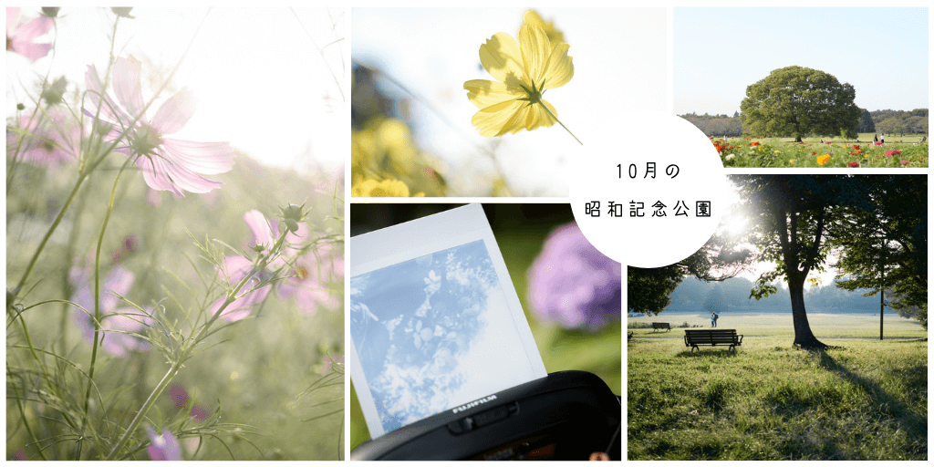 f:id:hachi-log:20201021220621p:plain f:id:hachi-log:20201021220621p:plain