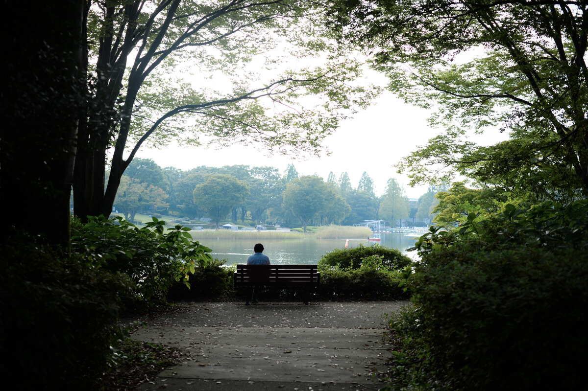 f:id:hachi-log:20201021221019j:plain f:id:hachi-log:20201021221019j:plain