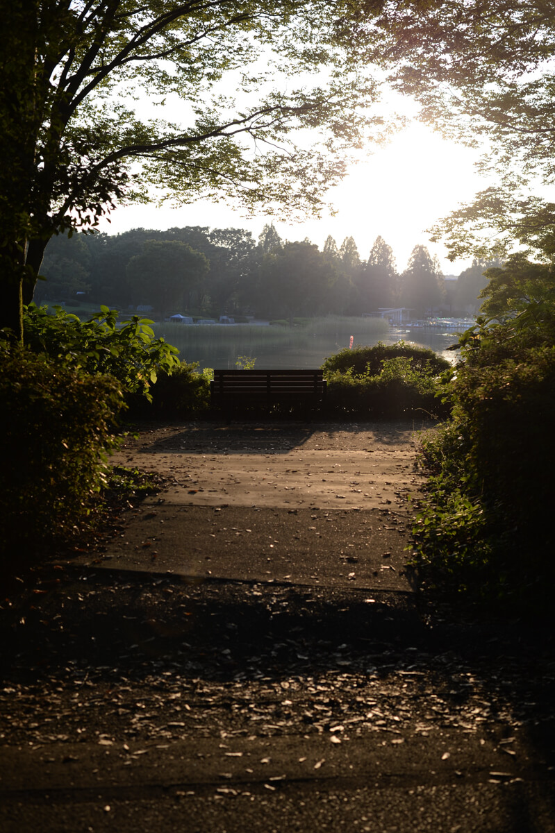 f:id:hachi-log:20201021221332j:plain f:id:hachi-log:20201021221332j:plain
