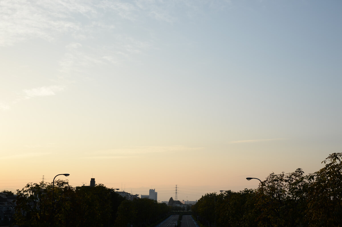 f:id:hachi-log:20201021221340j:plain f:id:hachi-log:20201021221340j:plain