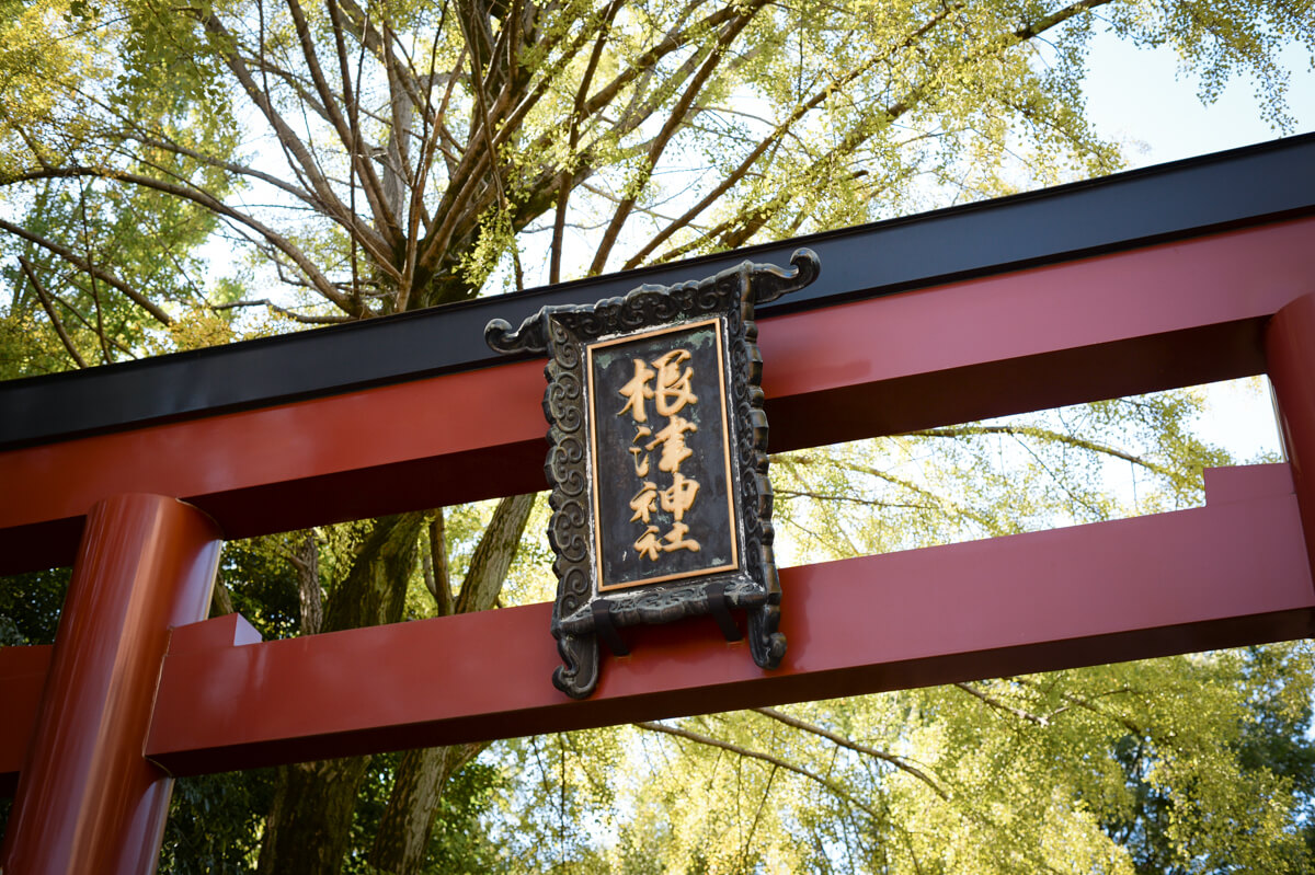 f:id:hachi-log:20201028090636j:plain f:id:hachi-log:20201028090636j:plain