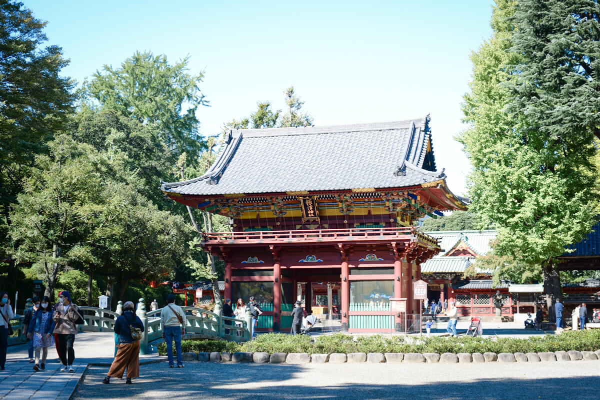 f:id:hachi-log:20201028090640j:plain f:id:hachi-log:20201028090640j:plain