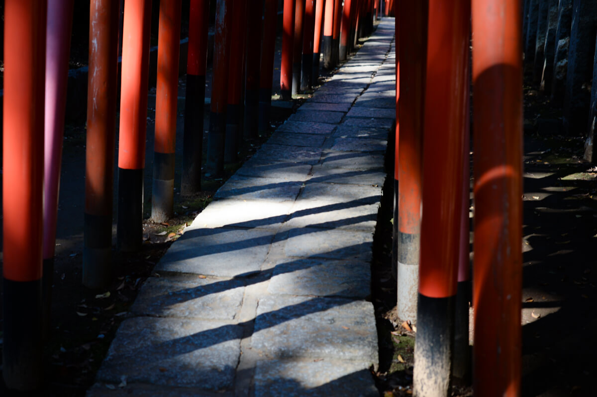 f:id:hachi-log:20201028090649j:plain f:id:hachi-log:20201028090649j:plain