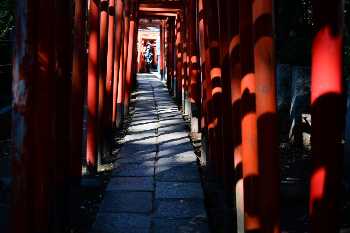 f:id:hachi-log:20201028090652j:plain f:id:hachi-log:20201028090652j:plain