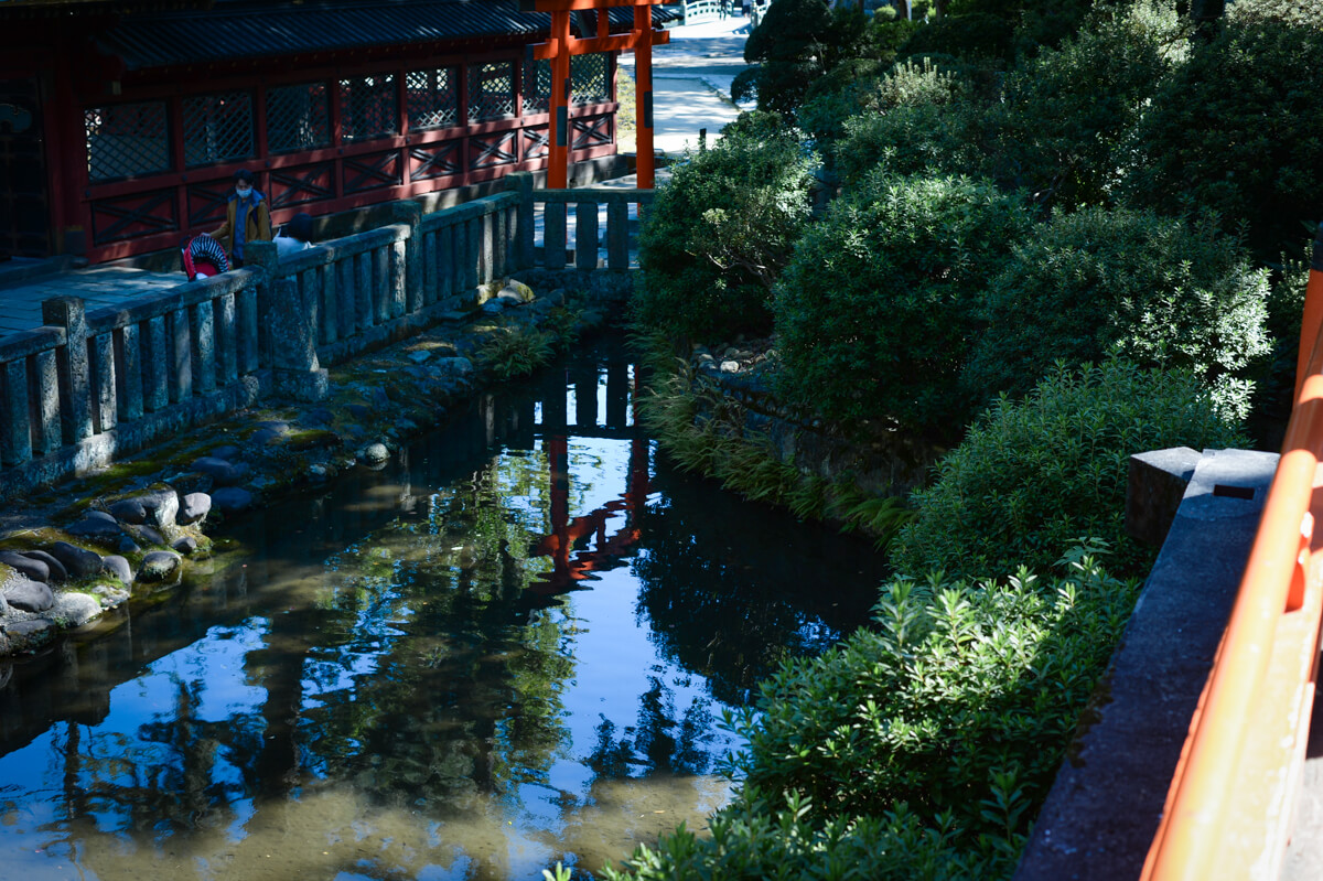 f:id:hachi-log:20201028090656j:plain f:id:hachi-log:20201028090656j:plain