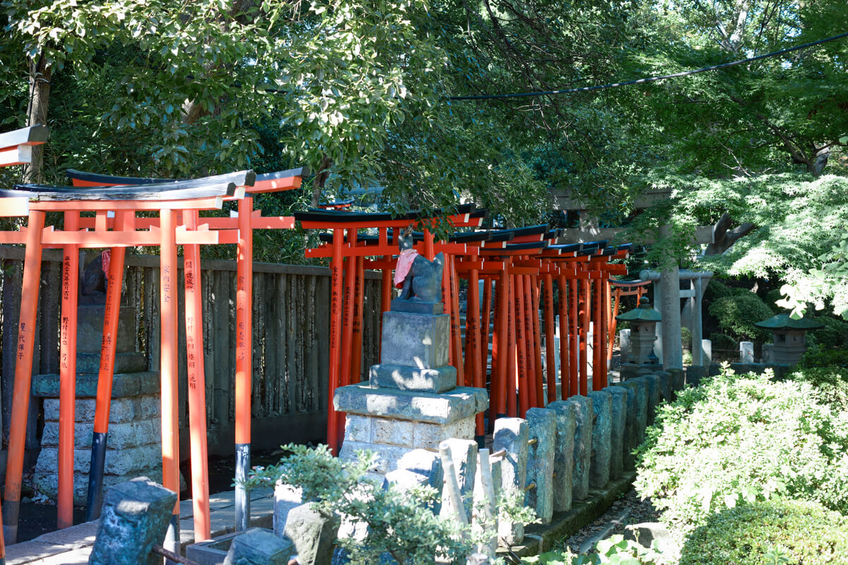 f:id:hachi-log:20201028090659j:plain f:id:hachi-log:20201028090659j:plain