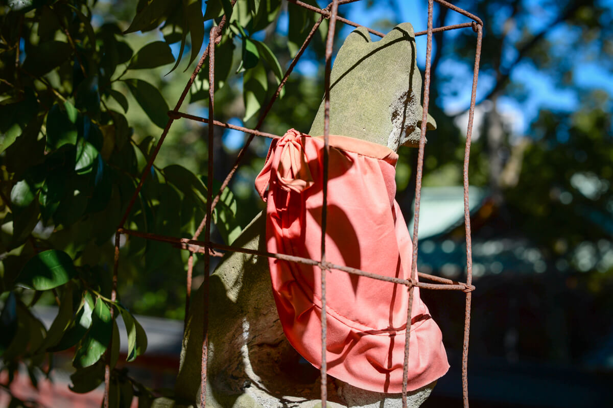 f:id:hachi-log:20201028090703j:plain f:id:hachi-log:20201028090703j:plain