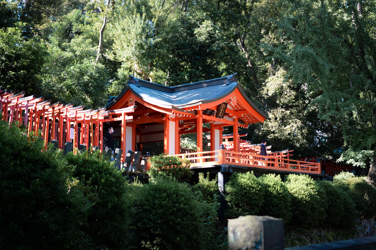 f:id:hachi-log:20201028090707j:plain f:id:hachi-log:20201028090707j:plain