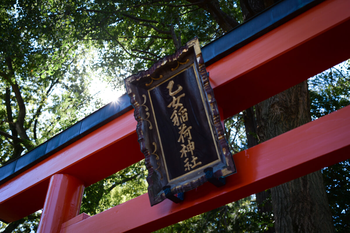 f:id:hachi-log:20201028090711j:plain f:id:hachi-log:20201028090711j:plain