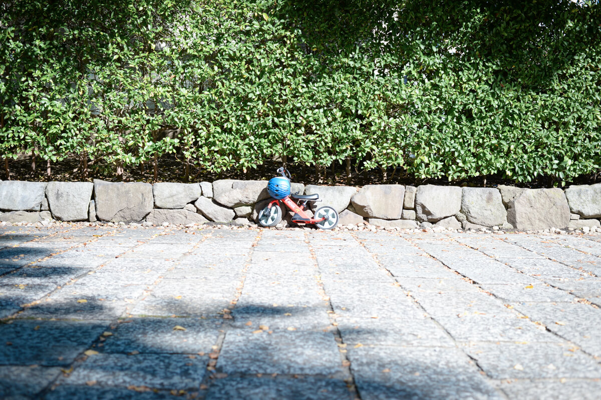 f:id:hachi-log:20201028090719j:plain f:id:hachi-log:20201028090719j:plain