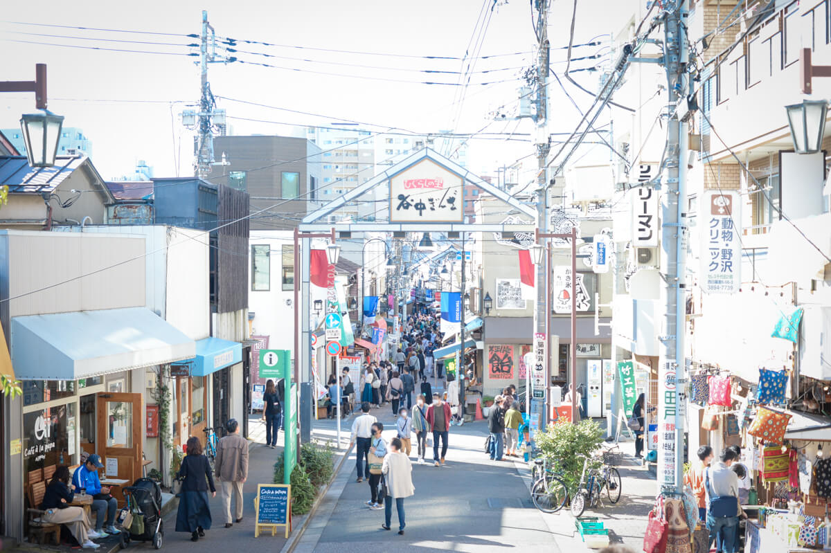 f:id:hachi-log:20201028091009j:plain f:id:hachi-log:20201028091009j:plain