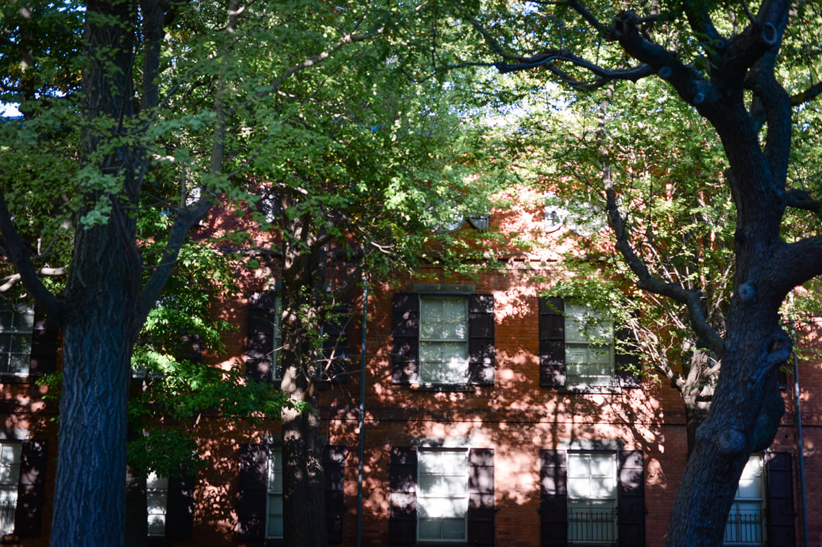 f:id:hachi-log:20201028091156j:plain f:id:hachi-log:20201028091156j:plain