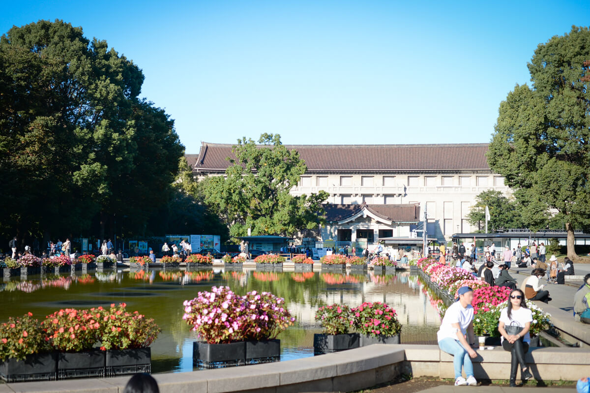 f:id:hachi-log:20201028091207j:plain f:id:hachi-log:20201028091207j:plain