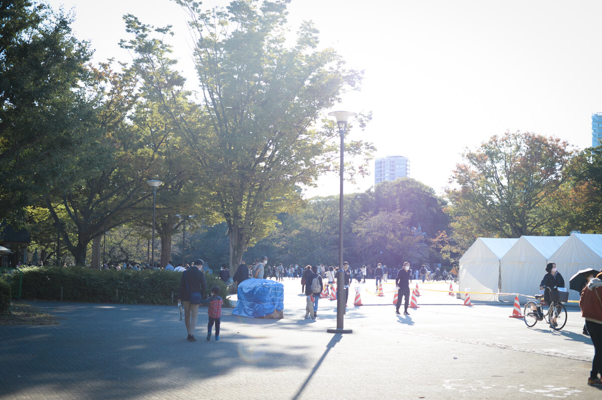 f:id:hachi-log:20201028091212j:plain f:id:hachi-log:20201028091212j:plain