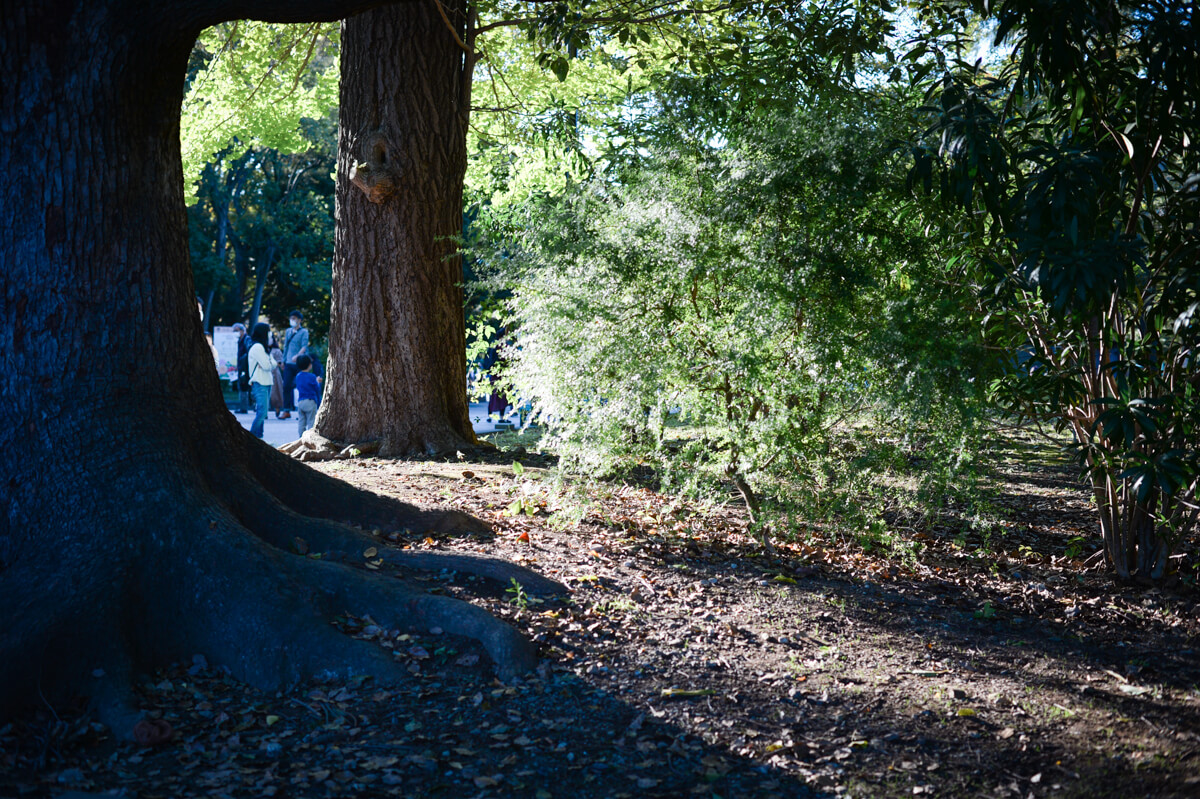 f:id:hachi-log:20201028091223j:plain f:id:hachi-log:20201028091223j:plain