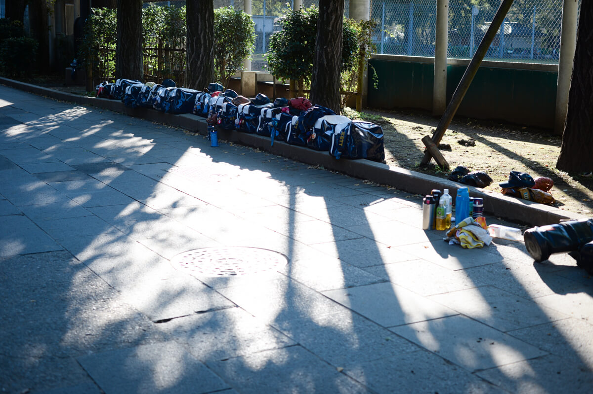 f:id:hachi-log:20201028091227j:plain f:id:hachi-log:20201028091227j:plain