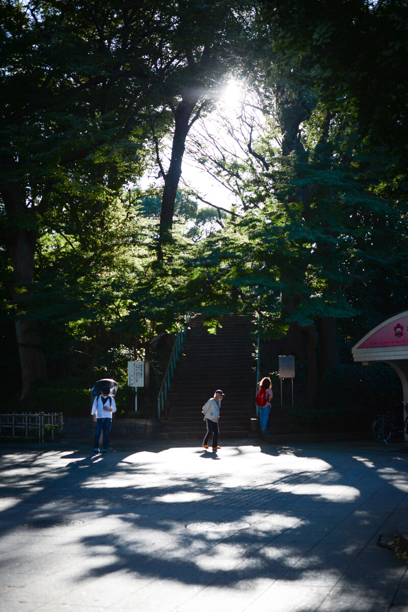 f:id:hachi-log:20201028091232j:plain f:id:hachi-log:20201028091232j:plain