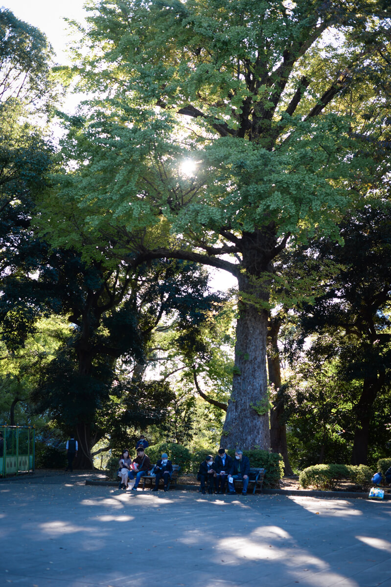 f:id:hachi-log:20201028091406j:plain f:id:hachi-log:20201028091406j:plain