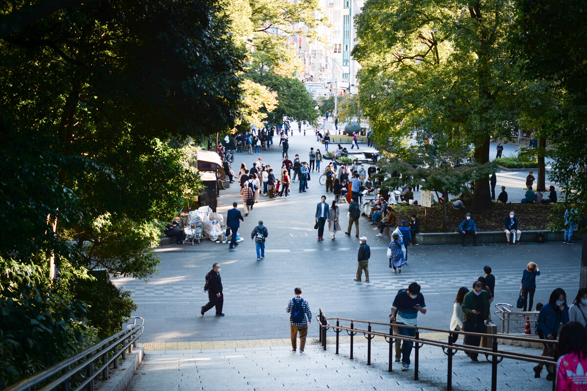 f:id:hachi-log:20201028091410j:plain f:id:hachi-log:20201028091410j:plain