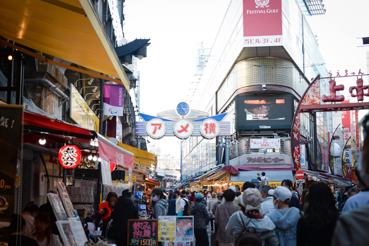 f:id:hachi-log:20201028091422j:plain f:id:hachi-log:20201028091422j:plain